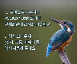 브라우저 사용환경 안내